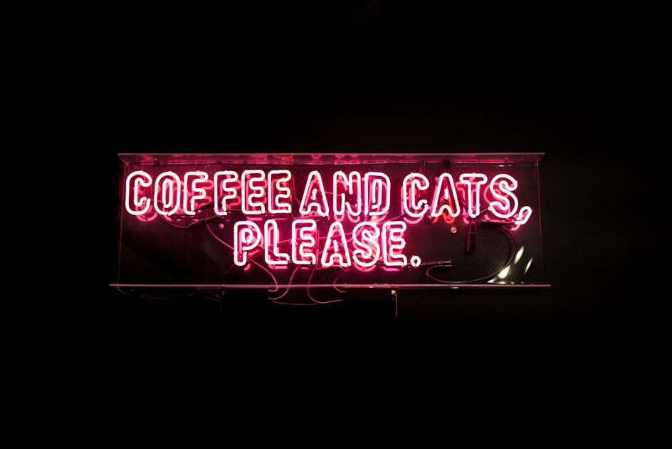 Discover Our Unique Pet Café Experience